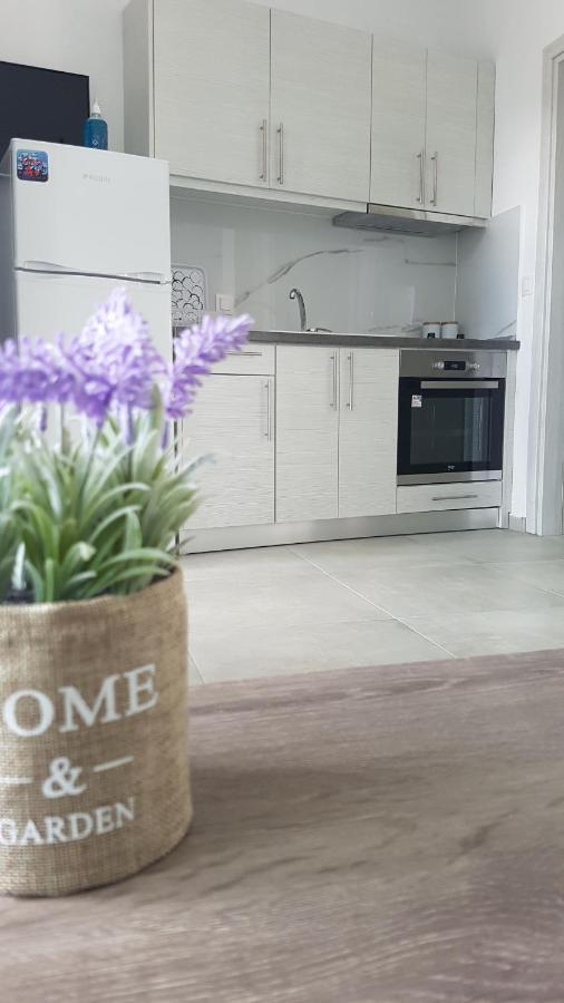 Erika Boutique Apartments Nikiti  Exteriér fotografie
